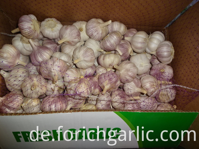 New Fresh Garlicfor Sale